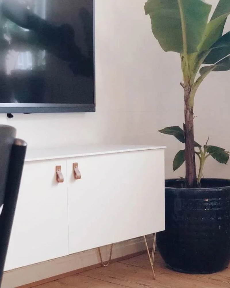 LOOP håndtak i cognac skinn på hvitt TV-skap med hårnålsben ved stor grønn plante